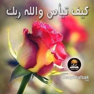 Meet your Posher, Daisylandma